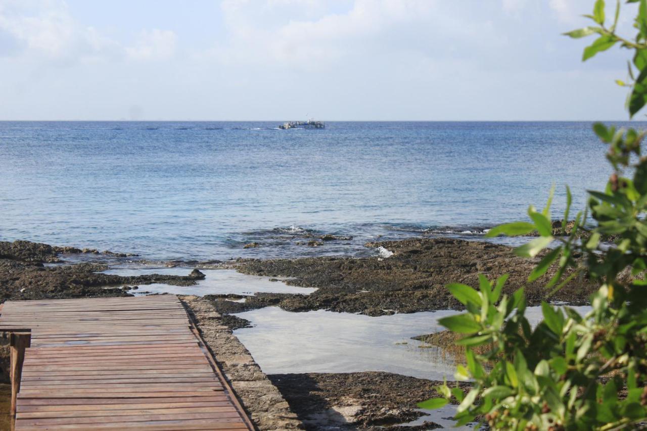 Apartamento Estudio En Cozumel, Frente Al Mar Caribe A3