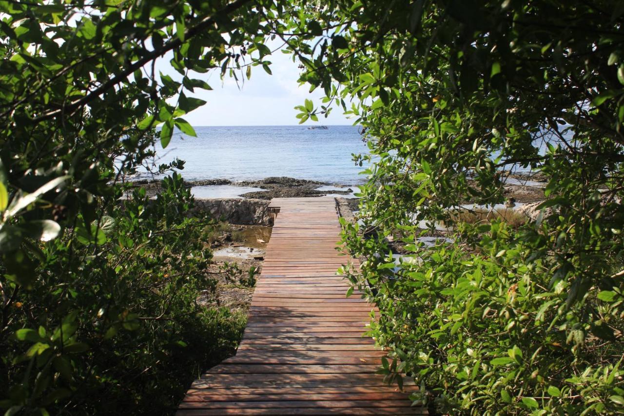 Estudio En Cozumel, Frente Al Mar Caribe A3 *